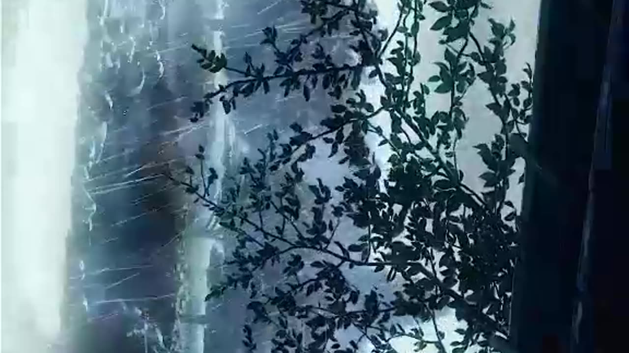 Beatiful anime sceneries