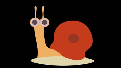 Simple flat style natural animal snail animation mg