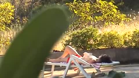 KANGAROO (REMI GAILLARD)