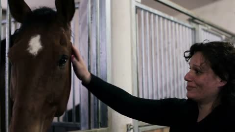 Young woman pet a horse in the stable