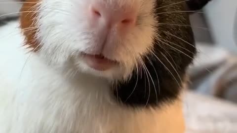 Close up 🧡