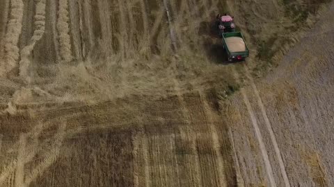 #shorts Żniwa 2023 #żniwa #żniwa2023 #4k #dji #djimini2 #gopro #goprohero9 #mf #class #rolnictwo