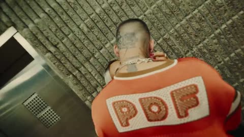 ZAYN - LOVE LIKE THIS ( Official Music Video Song)