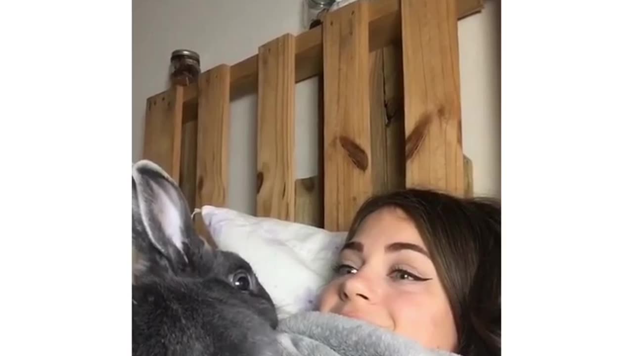 Bunny