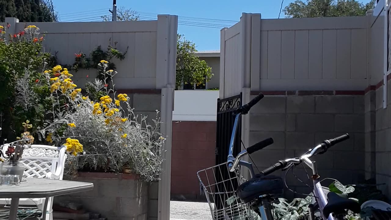 taking the trash out