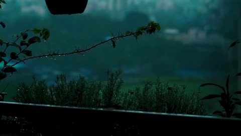 Moody Rain