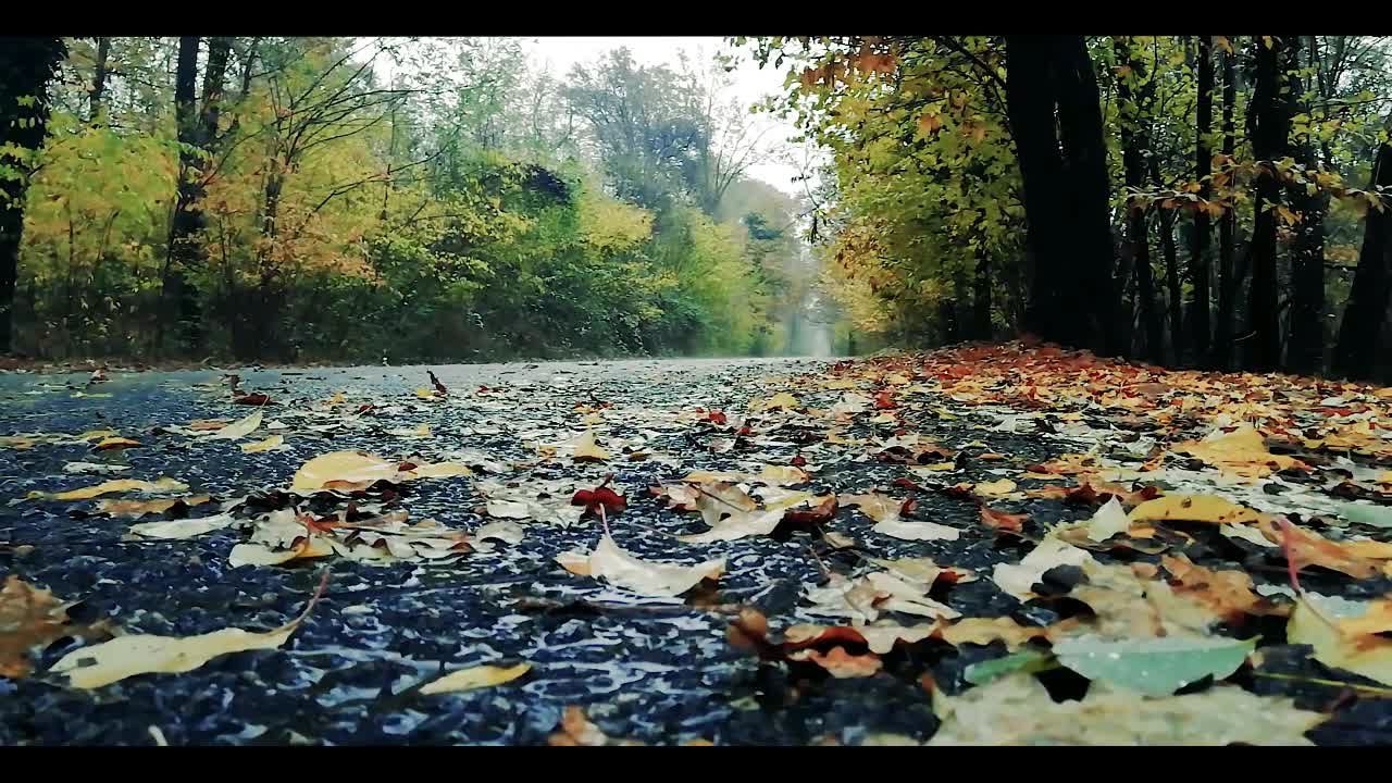 Music to Calm the Mind and Relaxing with rain sound 🎵 Musics to Sleep Well