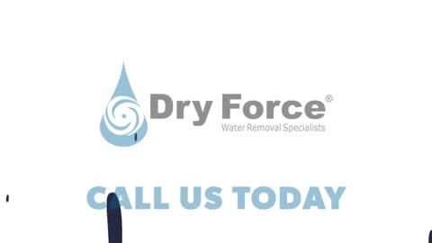 Trusted Experts for Fast and Effective Water Damage Restoration: Dry Force