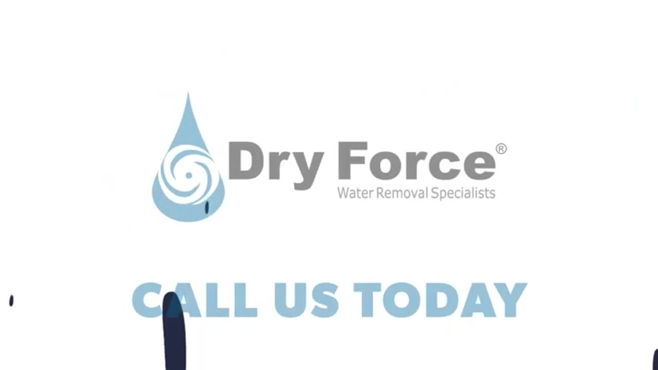 Trusted Experts for Fast and Effective Water Damage Restoration: Dry Force