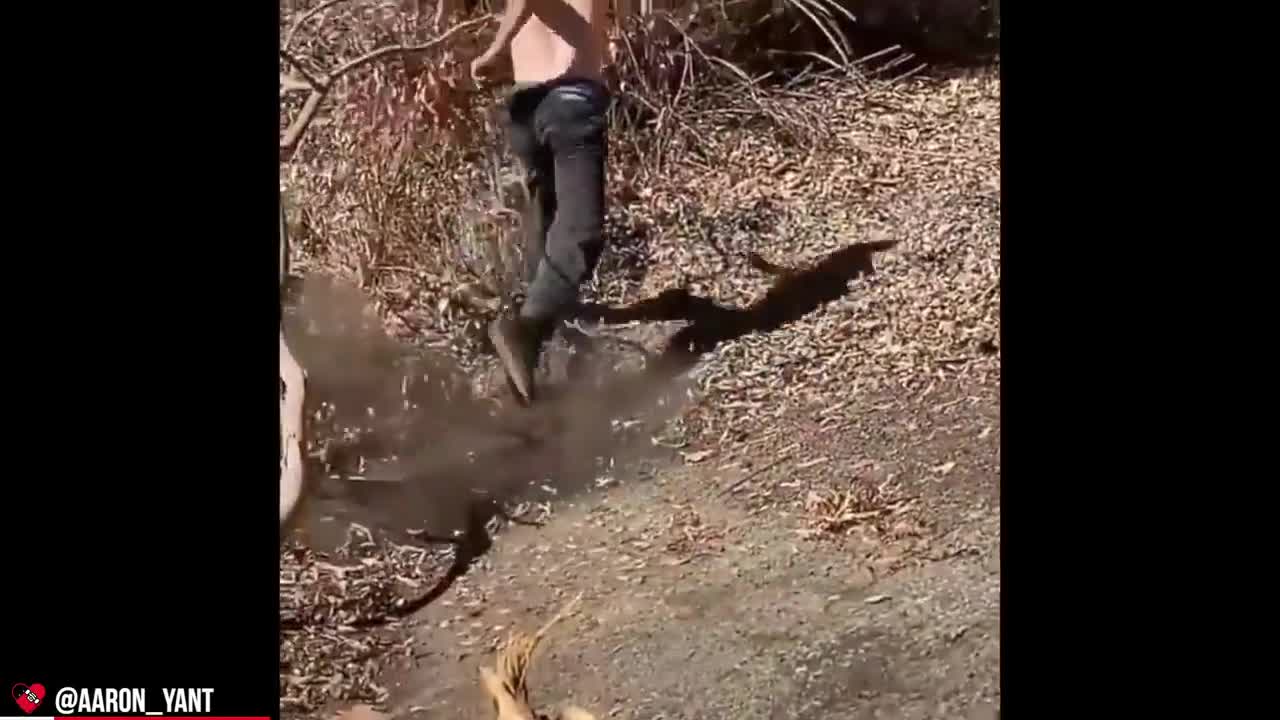 EXTREME Skateboarding Wins & Fails That Will Impress You!