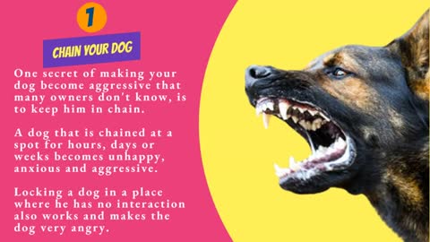 Easy ways to make a dog aggressive toward strenger