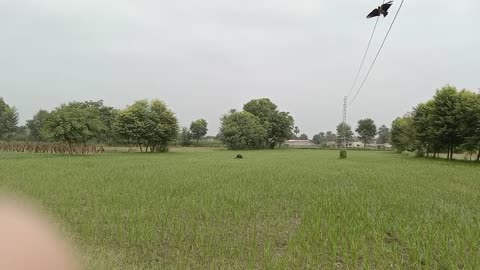 My village beautiful 🪟