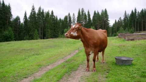 Farmen Norge S14E11