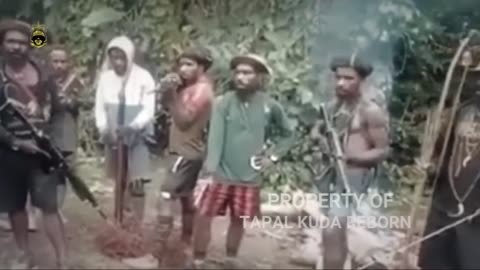LATEST PAPUA NEWS - WAIT FOR STATE ORDERS, TNI IS READY TO EXTERMINATE KKB PAPUA - HORSEHOE REBORN