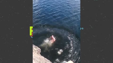 Best Fails of The Week: Funniest Fails Compilation: Funny Video