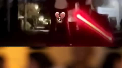 Cat Emotions never lie