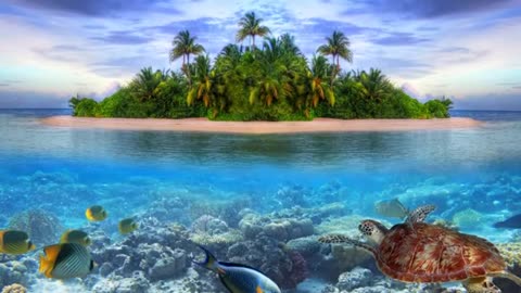Relax Island