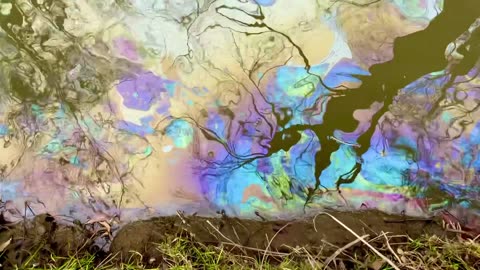 East Palestine Ohio Rainbow Slick on Water