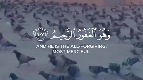 الحب