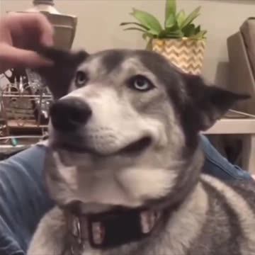 Wow What a smile 😊