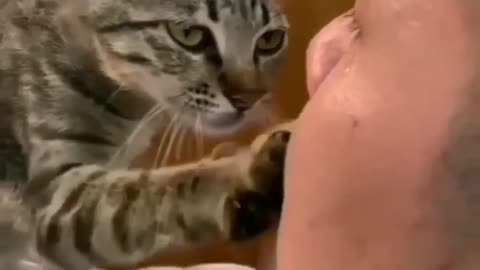 WHEN A CAT HAS FOUND A GOOD MASTER, THIS IS WHAT CATS DO