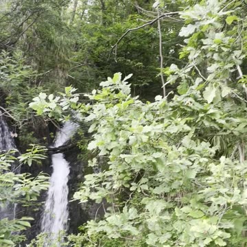 Рядом с гостиницей с видом на озеро