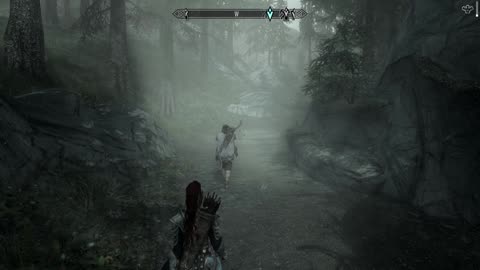 Skyrim Path to Bilegulch Mine