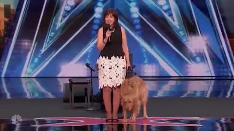 6 BEST Singing Dogs EVER!! ON GOT TALENT