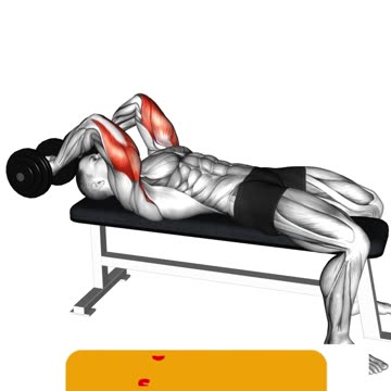 Unleash Tricep Power #tricepsworkout #armday #fitnessmotivation #gymjourney #shorts #shortvideo