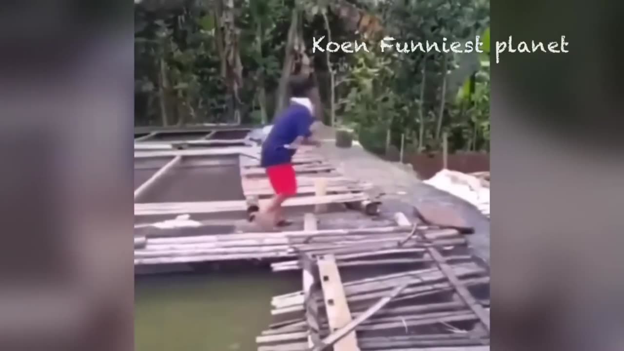 FUNNY CATS and DOGS 🐱🐶 & other ANIMALS 🐾