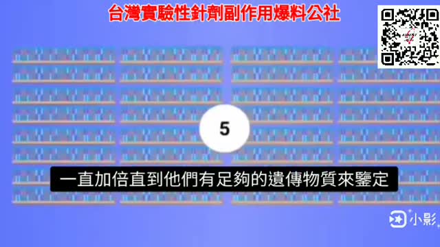 PCR測試 欺詐