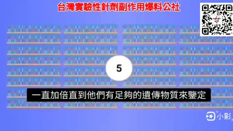PCR測試 欺詐