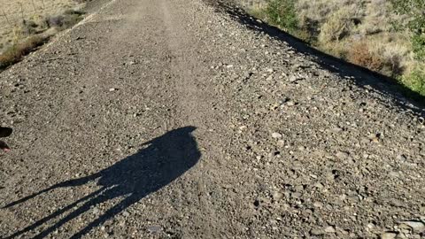 Prairie Talk & Patriot Shout Outs