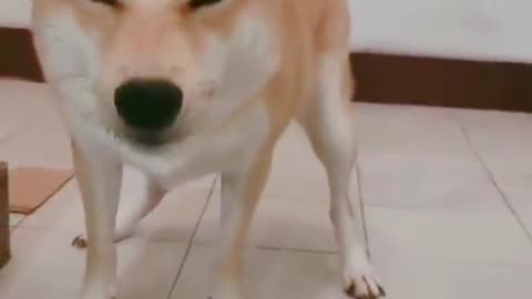 Why don't you see what I'm doing?