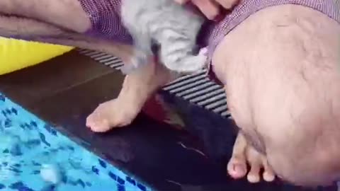 Happy cat