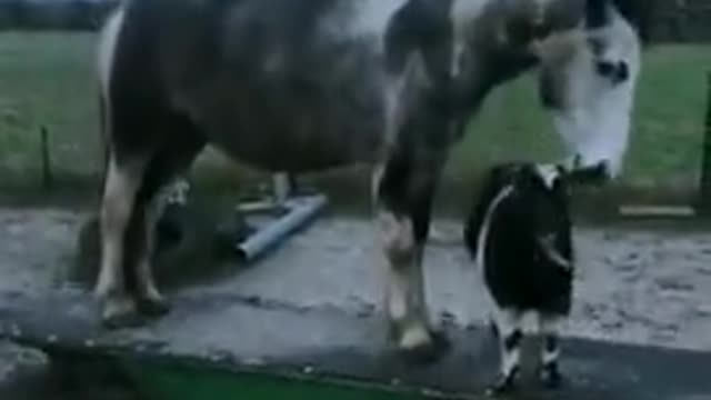 Up and down, Up and down...