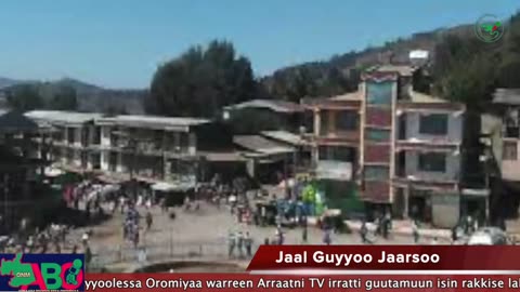 Oduu Waaree ONM-ABO Fulbaana 17-2024 itti dhiyaadhaa!