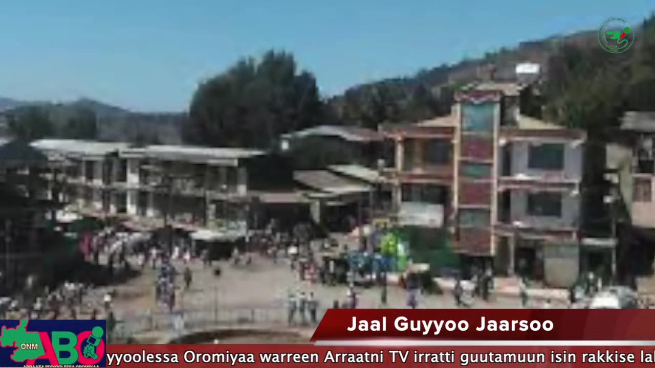 Oduu Waaree ONM-ABO Fulbaana 17-2024 itti dhiyaadhaa!