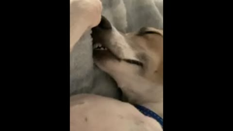 Finn nappie