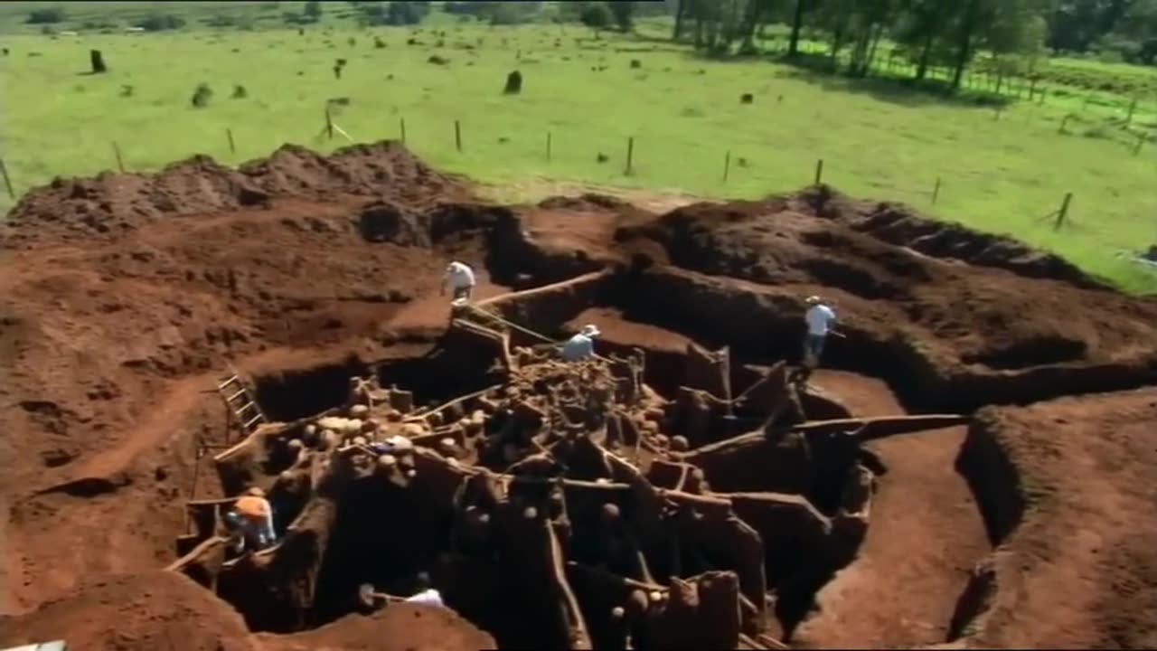 Secret Megalopolis of Ants Uncovered - Truly a Wonder of the World _(480P)