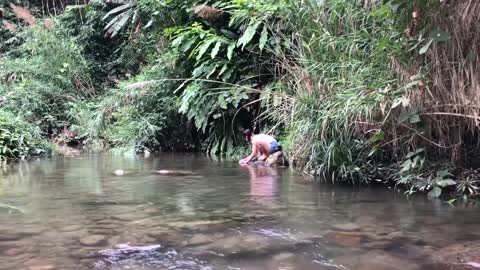 Solo Bushcraft & Camping, Survival Alone in the rain forest, Make a simple shelter and cooking Ep2