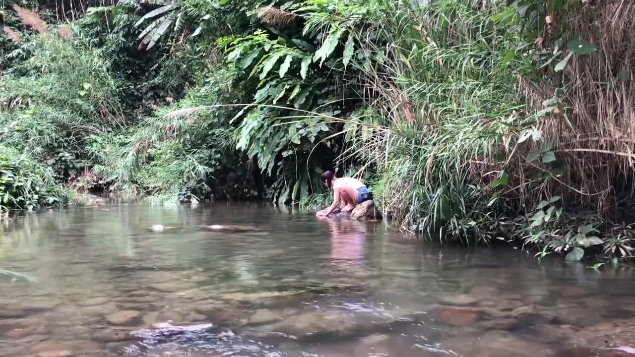 Solo Bushcraft & Camping, Survival Alone in the rain forest, Make a simple shelter and cooking Ep2