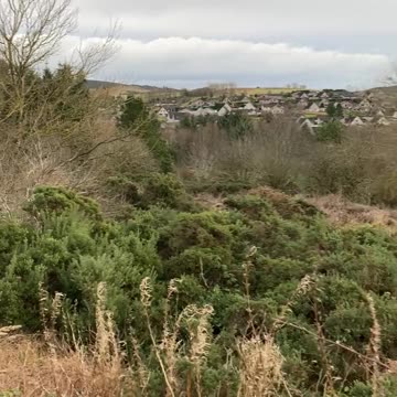 Dec2023 King Charles jokes about sausage fingers with William