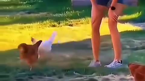 Funny animals 🤣🤣 #pet #cat #dog #cute #animals #foryou #typ