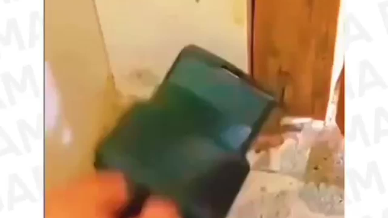 Funny memes