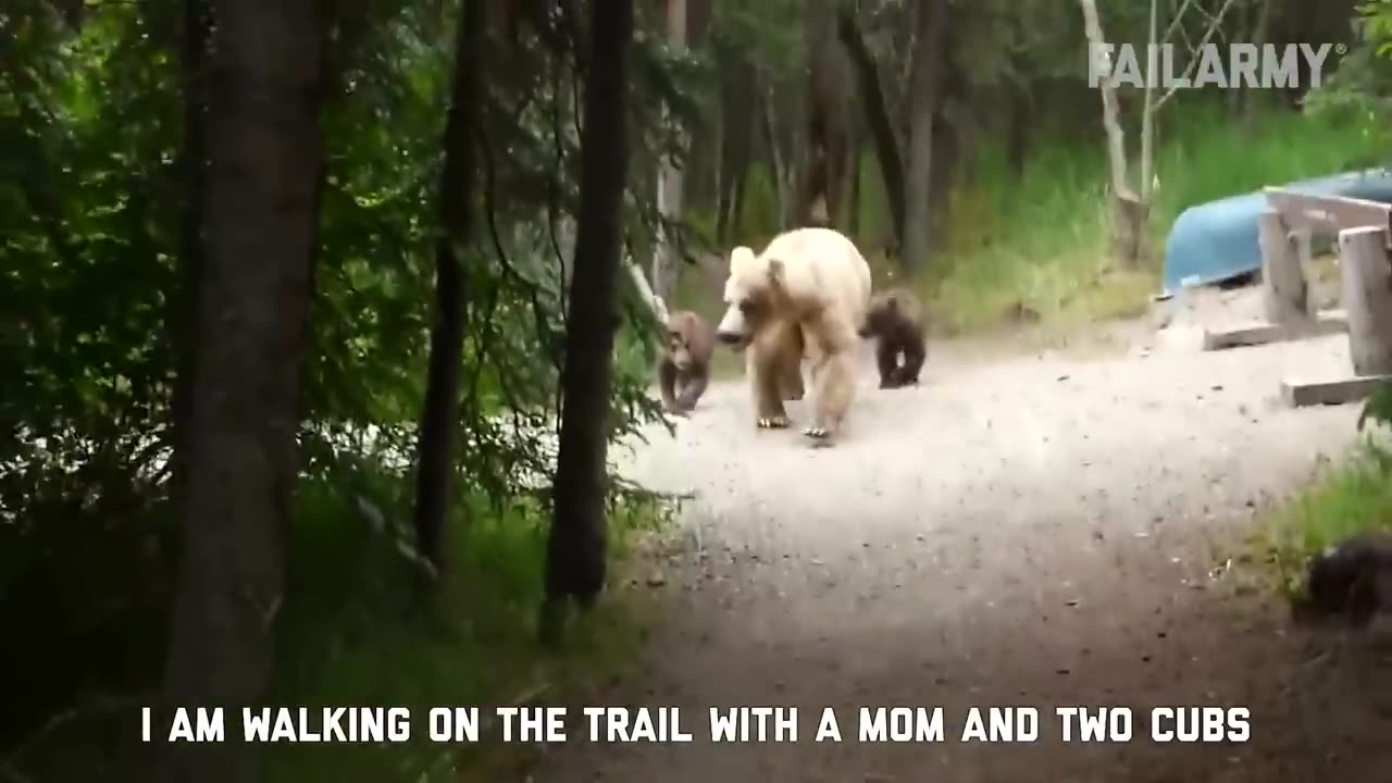 funny accidental with animals