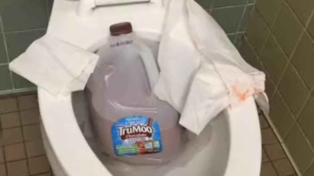memes I found the internet part 14