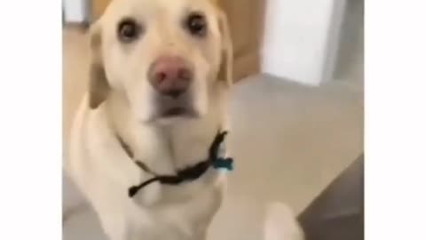 He wants the place that’s warmed up already