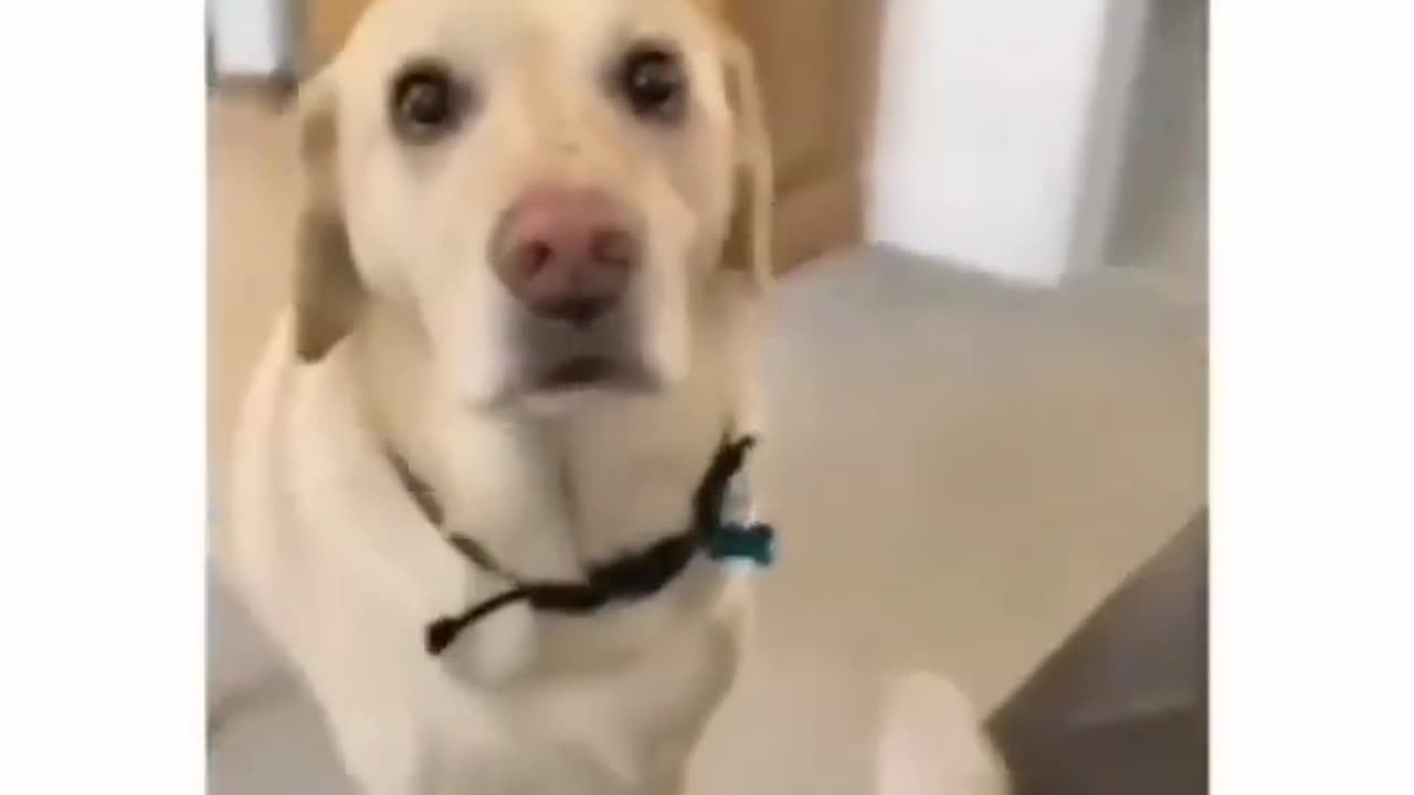 He wants the place that’s warmed up already