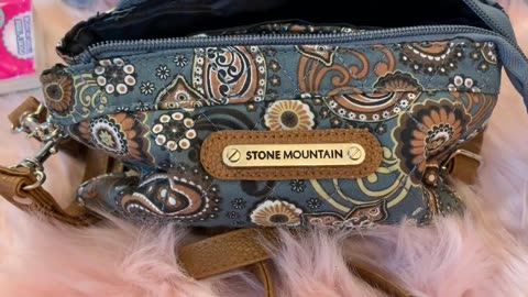 What's in my tiny Stone Mountain Crossbody Wristlet Bag from Ross